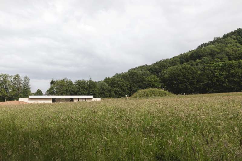 Façade principale intégrée à l'environnement forestier, mettant en valeur l'harmonie entre architecture contemporaine et nature