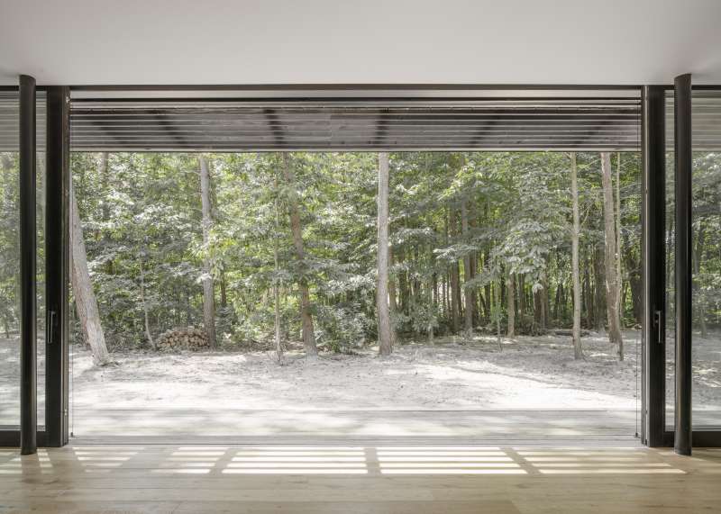 Vue intérieure donnant sur la forêt de Fontainebleau, révélant une connexion harmonieuse entre l'espace de vie et la nature environnante.